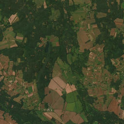 Satelita