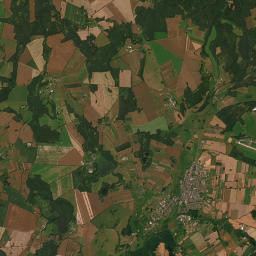 Satelita