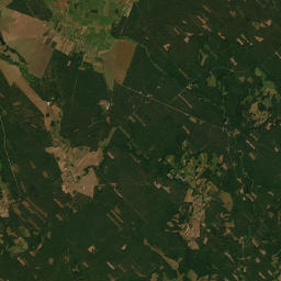 Satelita