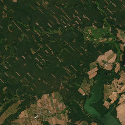 Satelita
