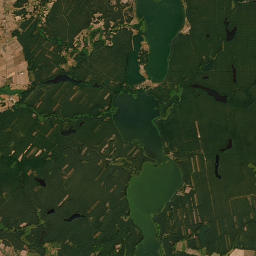 Satelita