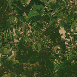 Satelita