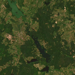 Satelita