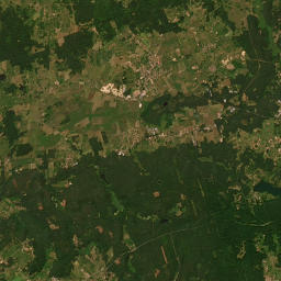 Satelita