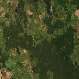 Satelita