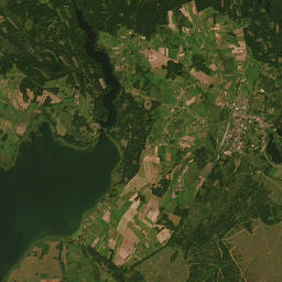 Satelita
