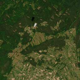 Satelita
