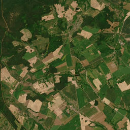 Satelita
