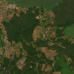 Satelita