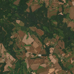 Satelita