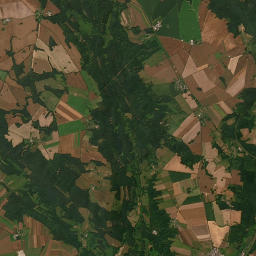 Satelita