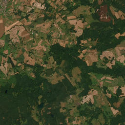 Satelita