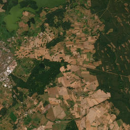 Satelita