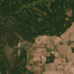 Satelita