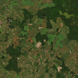 Satelita