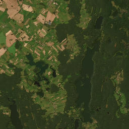 Satelita