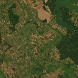 Satelita