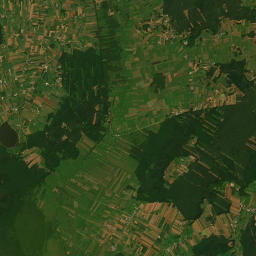 Satelita