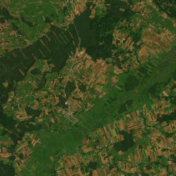Satelita
