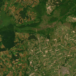 Satelita