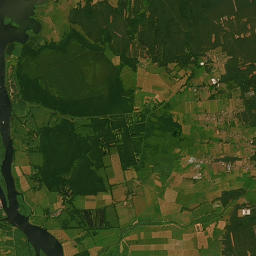 Satelita