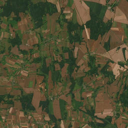 Satelita