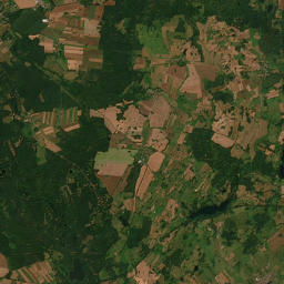 Satelita