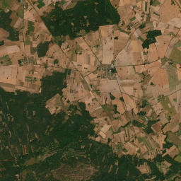 Satelita