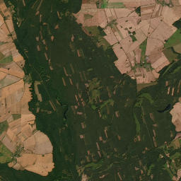Satelita