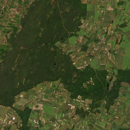 Satelita