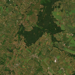 Satelita