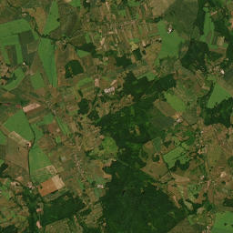 Satelita
