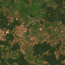 Satelita