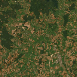 Satelita