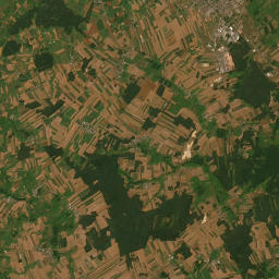 Satelita