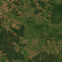 Satelita