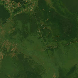 Satelita