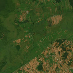 Satelita
