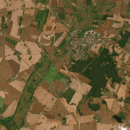 Satelita