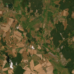 Satelita