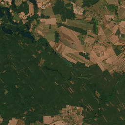 Satelita