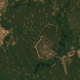 Satelita