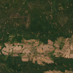 Satelita