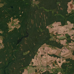 Satelita