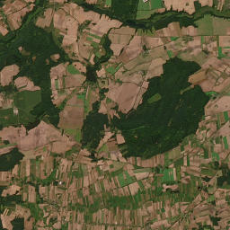 Satelita