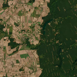 Satelita