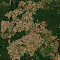 Satelita