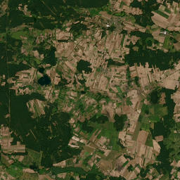 Satelita