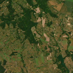 Satelita