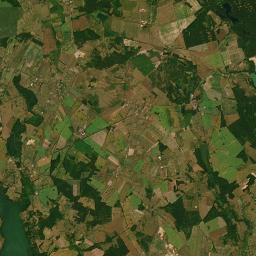 Satelita